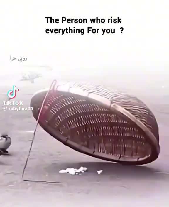 @BASHAOOR.