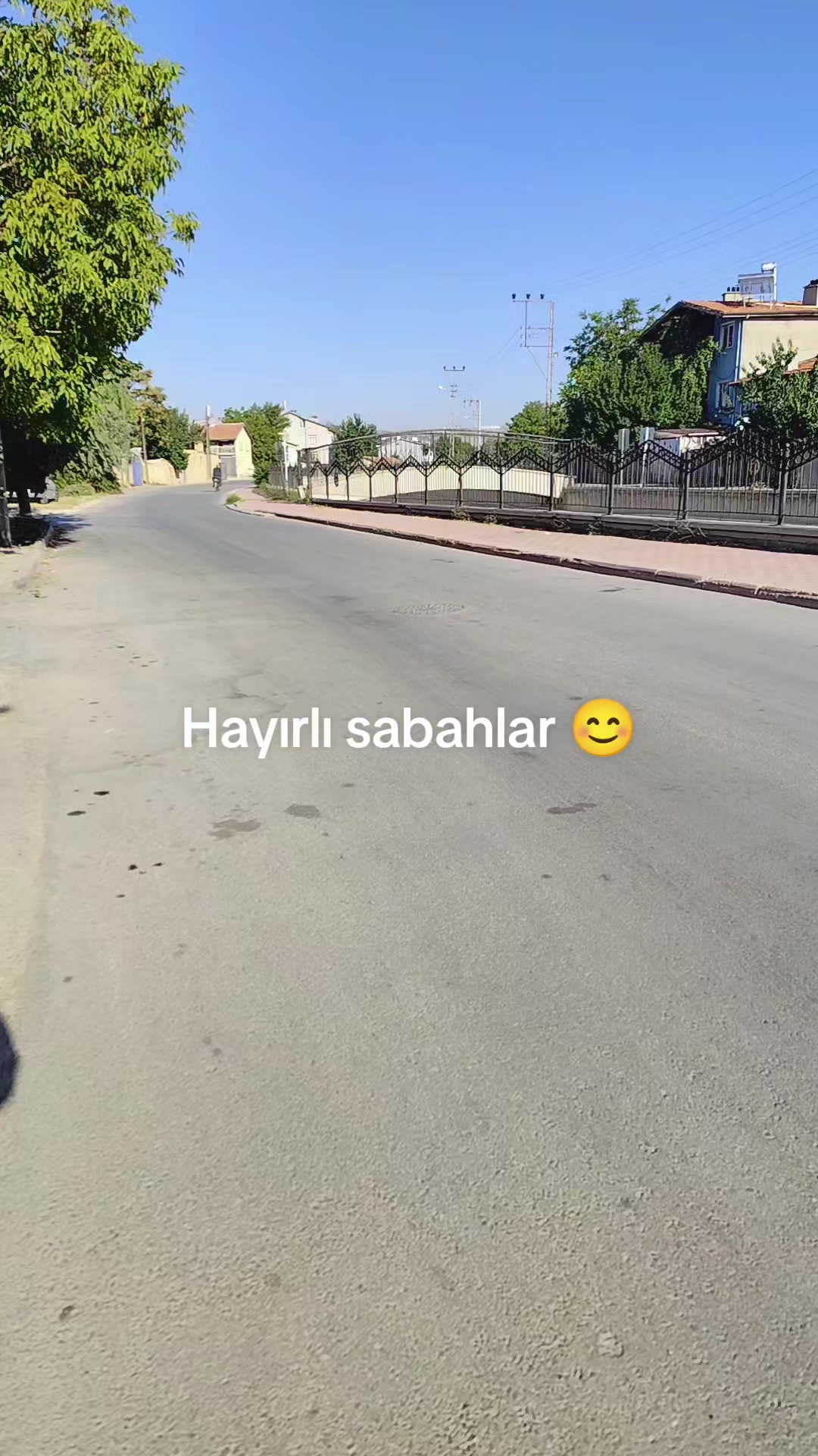 @Zehra zehra