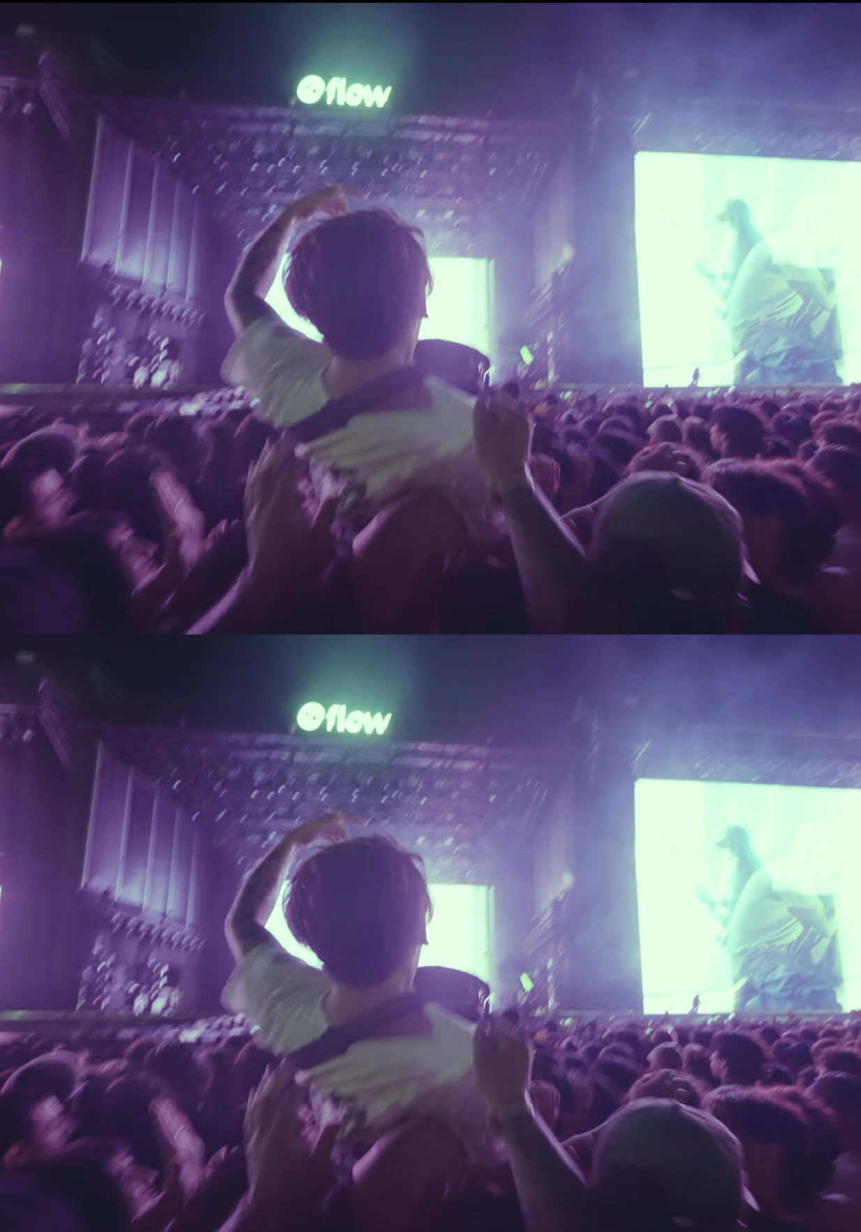 @lollapaloozaar