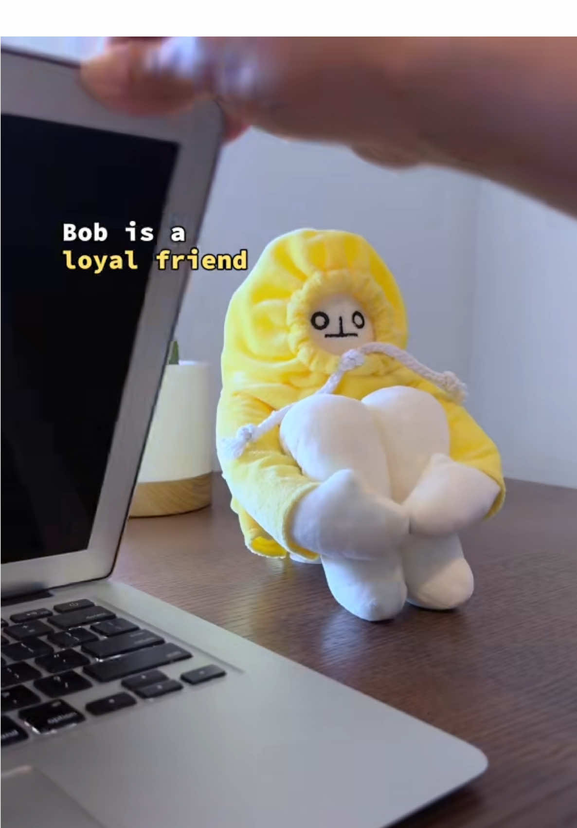 @Existential Crisis Bob