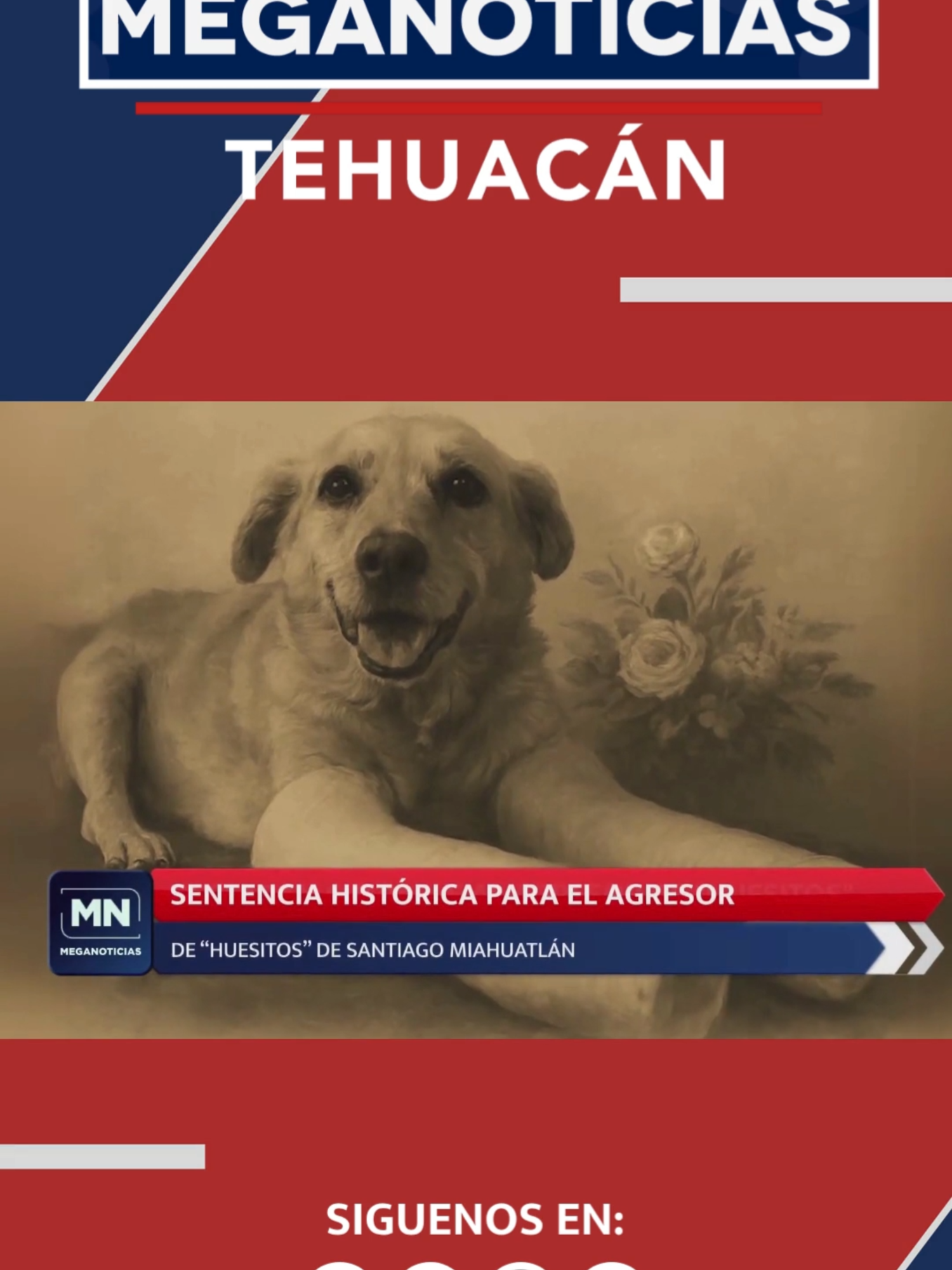 @Meganoticias Tehuac&aacute;n