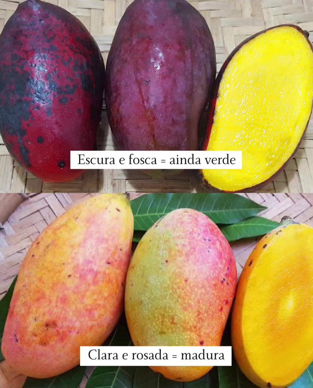 @Viva Bem Receitas Saudáveis