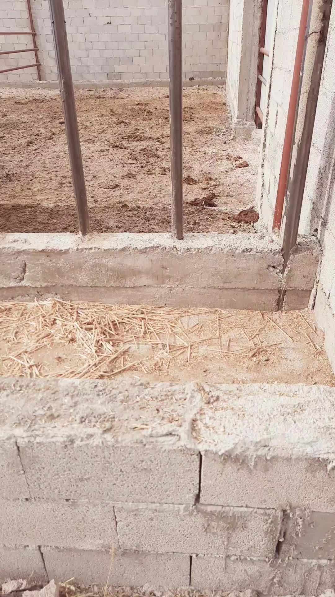@Hacı Talİp Usta
