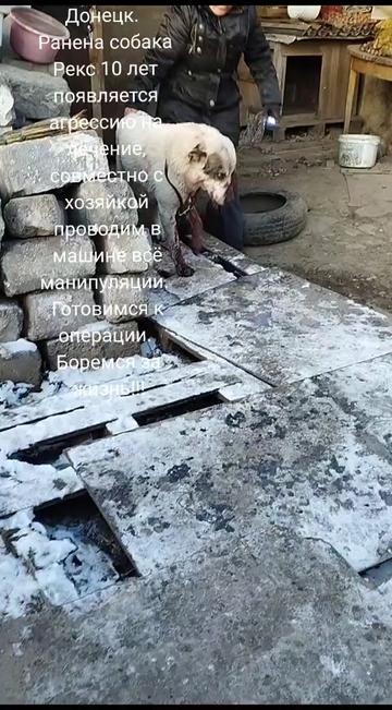 @irina.volik.donetsk.4LAPKI