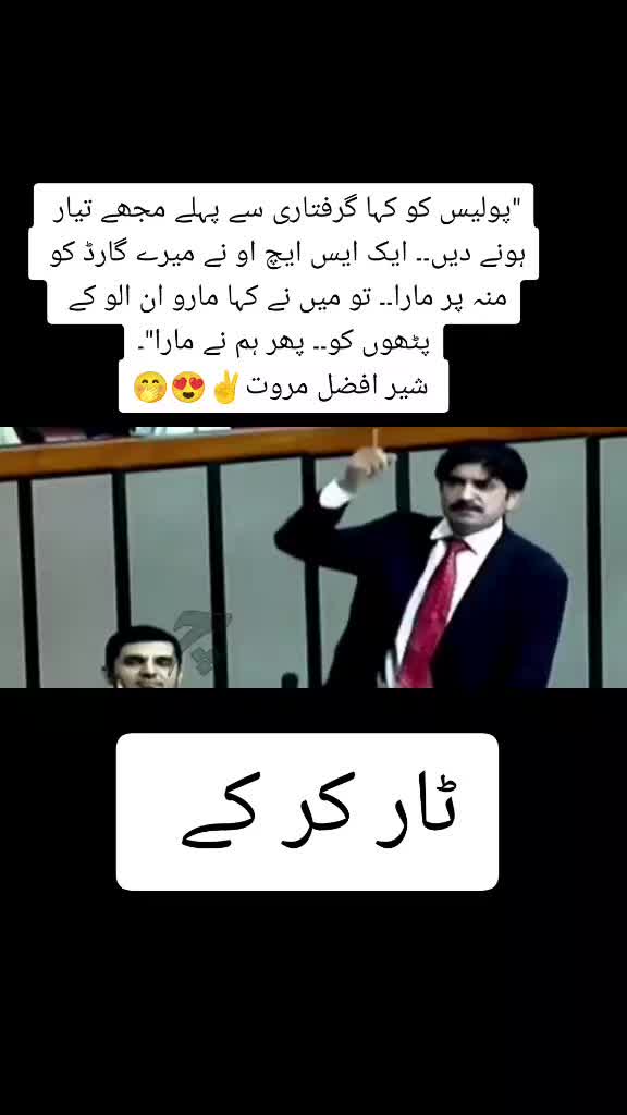 @Pti Tigers