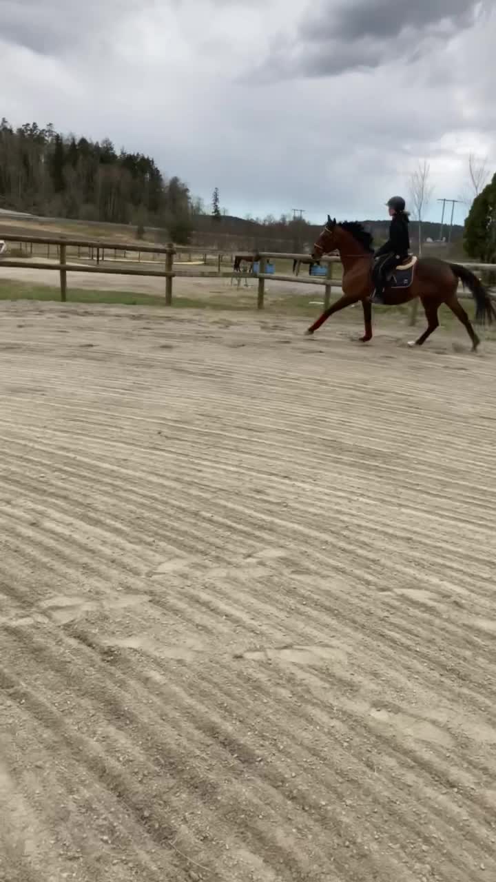 @Hästkonto 💓
