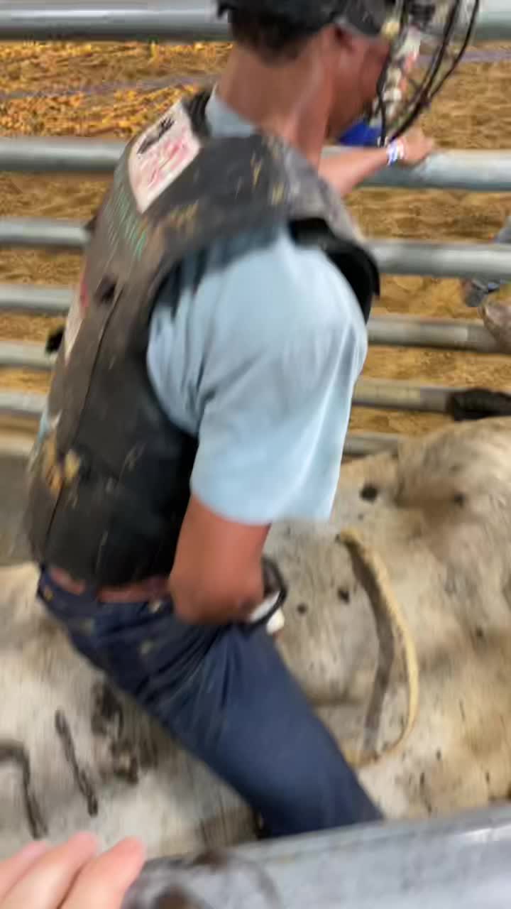 @Bull hand loud
