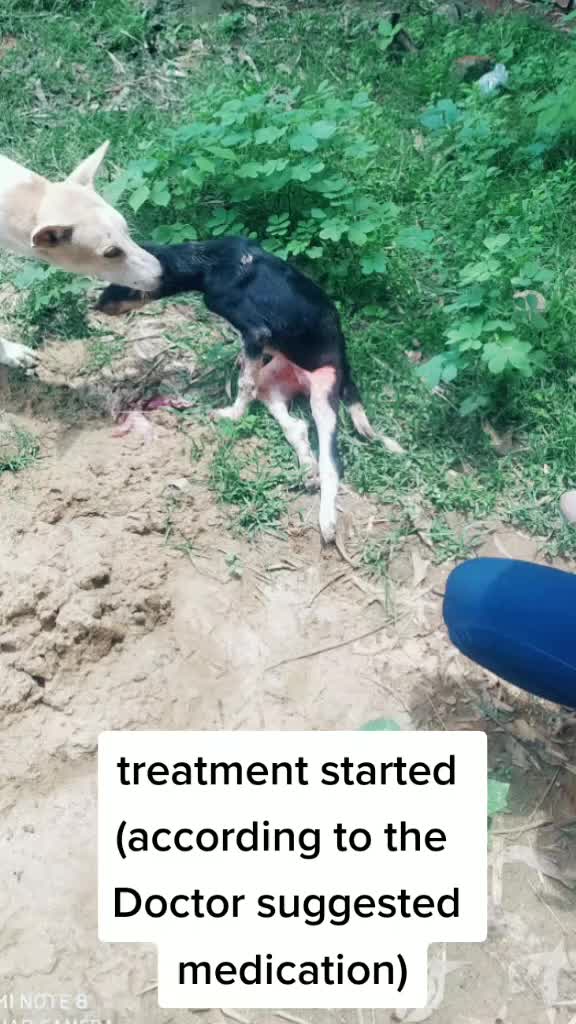 @Mahi Fouzder🐾😇