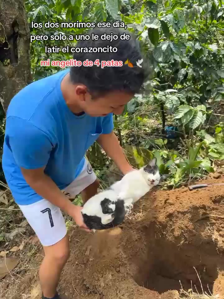 @Usuario