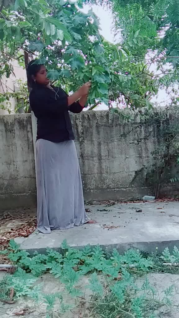 @Divya Raman