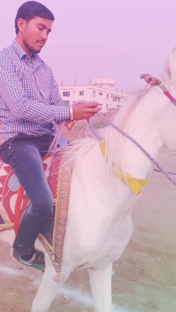@Mehul Khatana