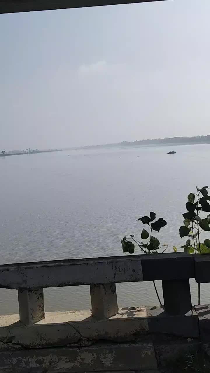 @@punjab plc 1490166