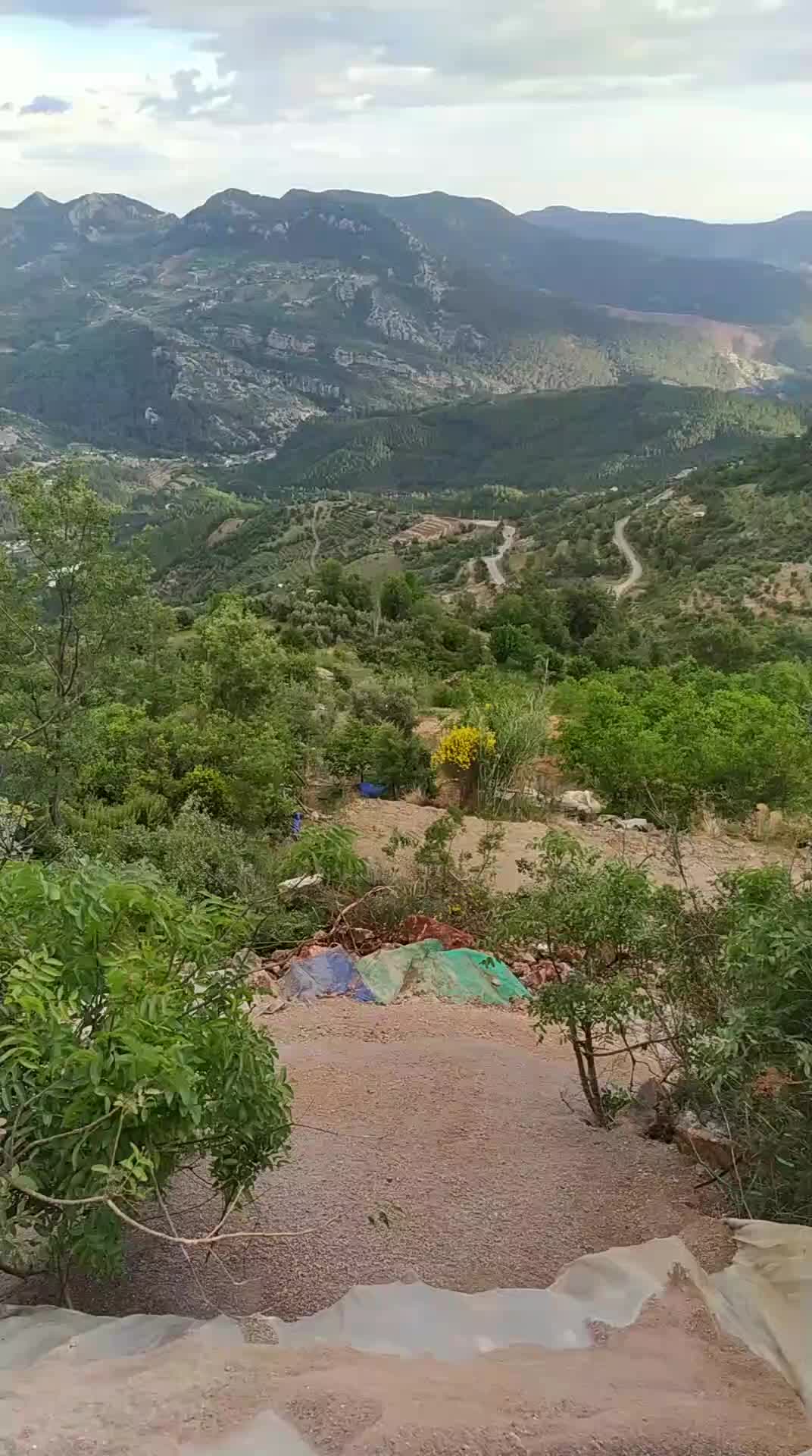 @Nursel Aydoğan