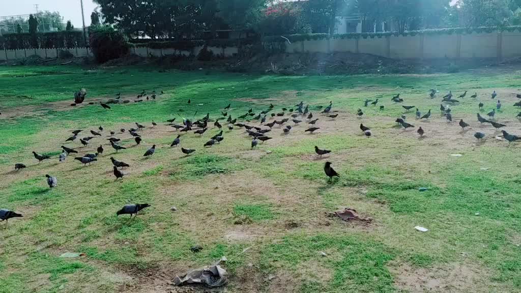 @Unnati Patel