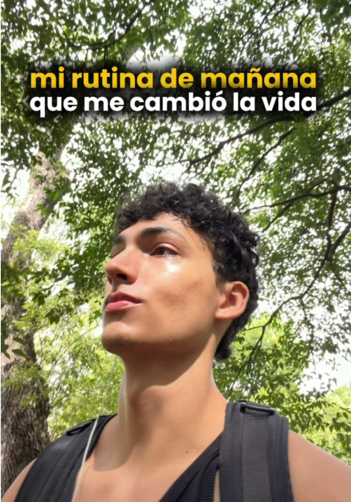 @Tarc