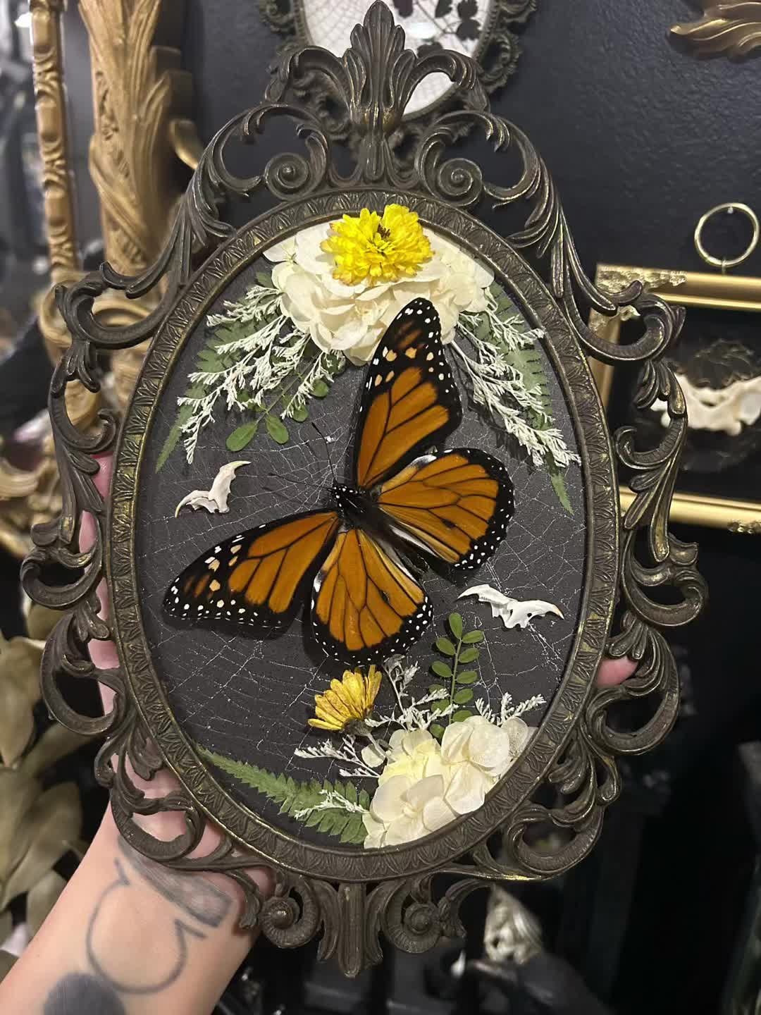 @Macabre Casket