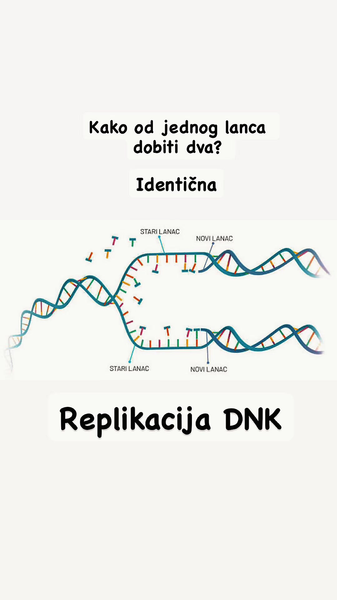 @Marija 👩🏻🔬