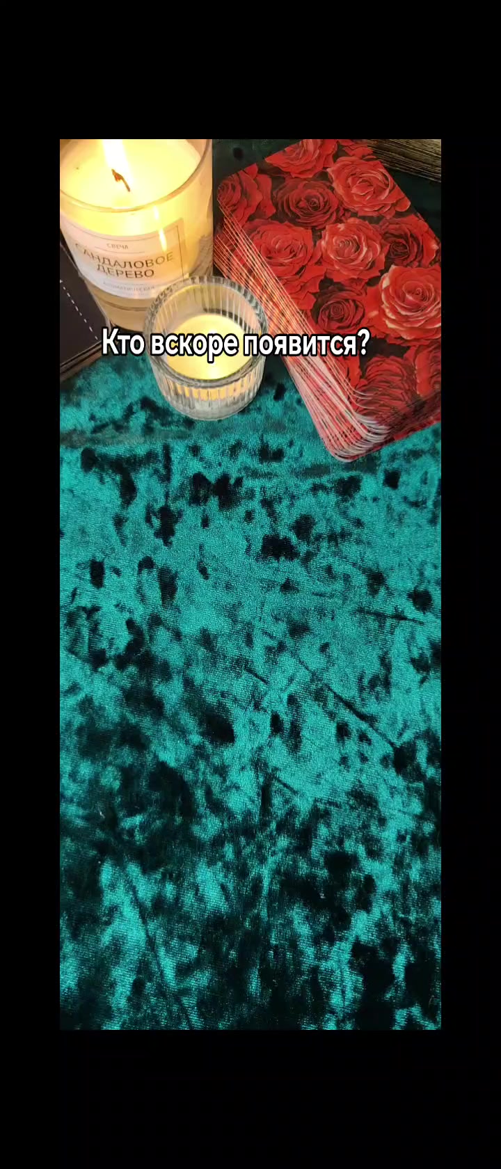 @OlesyaTaro