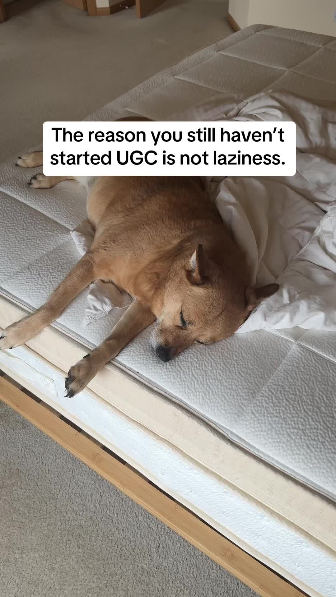@JennyZ | UGC for GenX