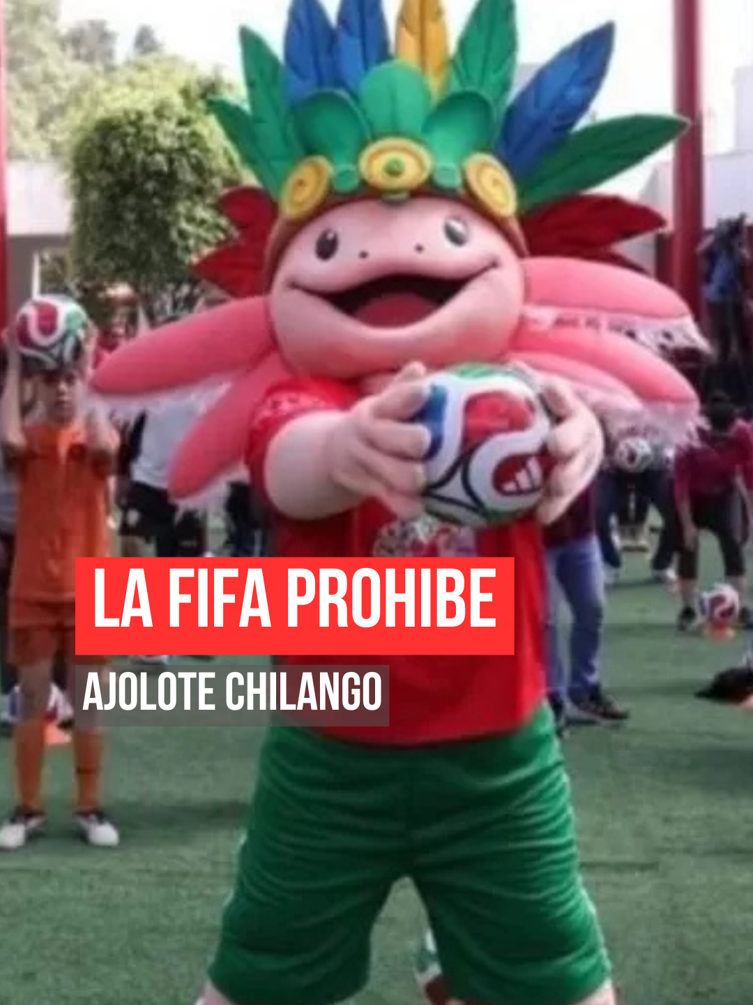 @As&iacute; Sucede Le&oacute;n Noticias