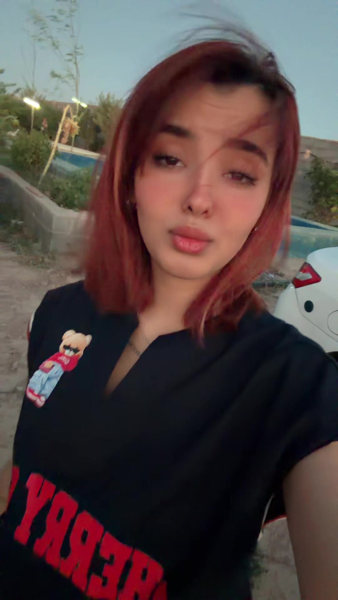 @Zahra Zarghani