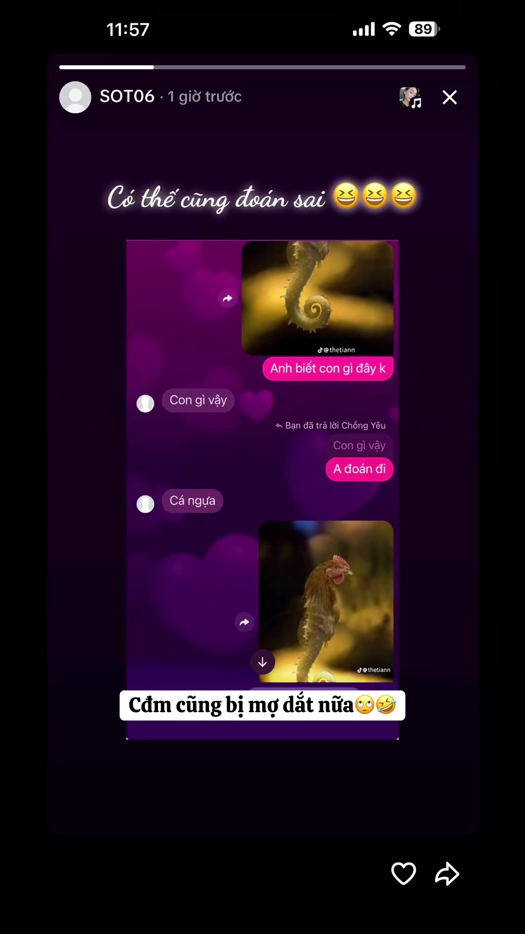 @Trưởng Fan M&ecirc; SOT06