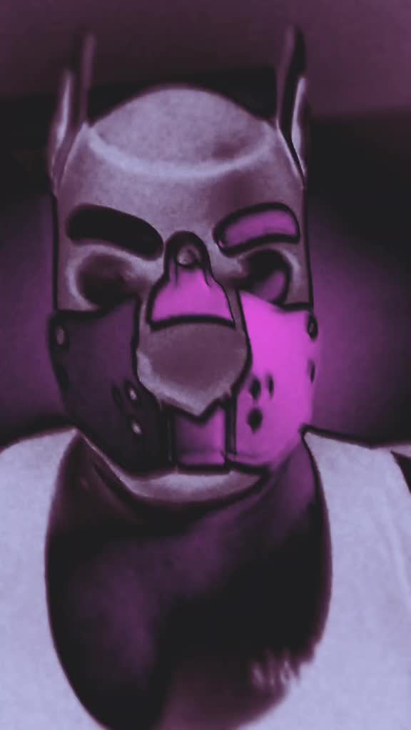 @PupNyonBlitz