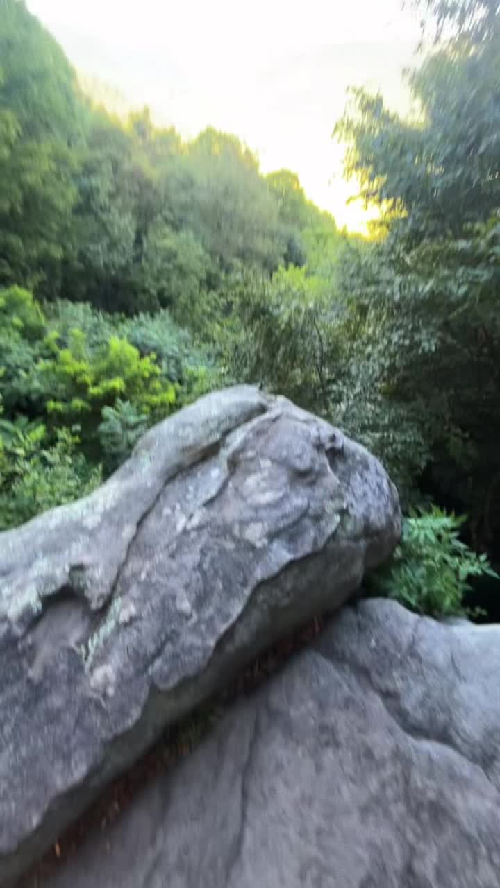 @Backyard Appalachia
