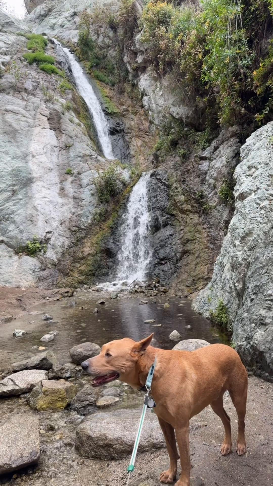 @Adventuresofmaxxandsandie