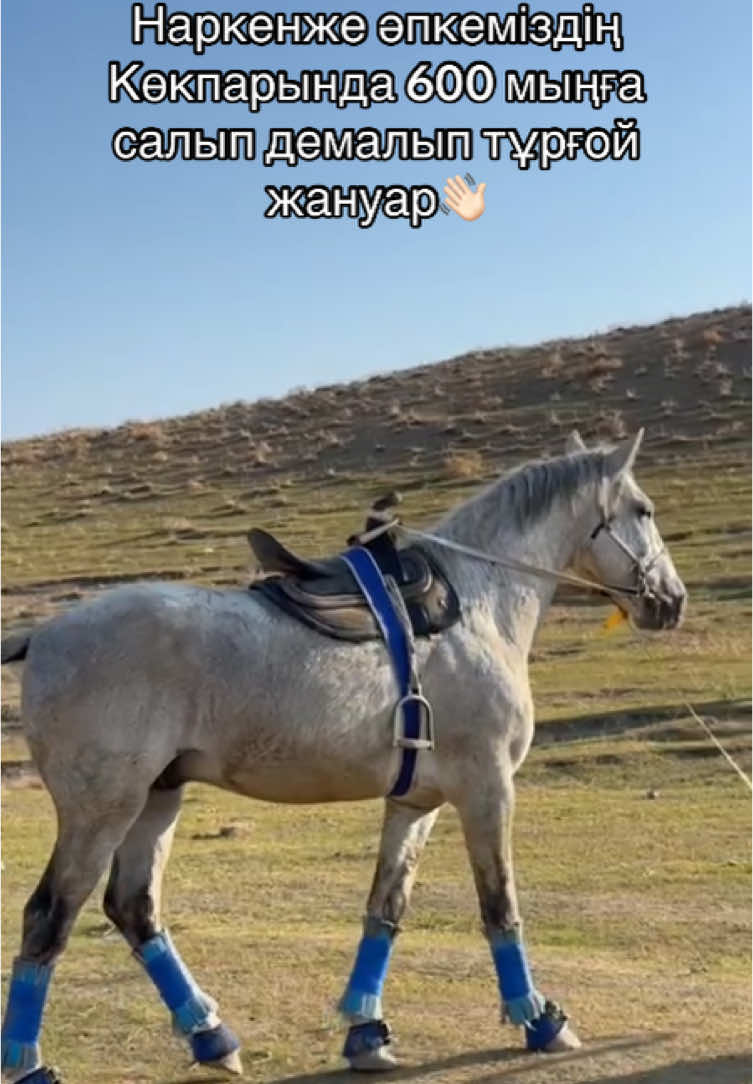 @Маке