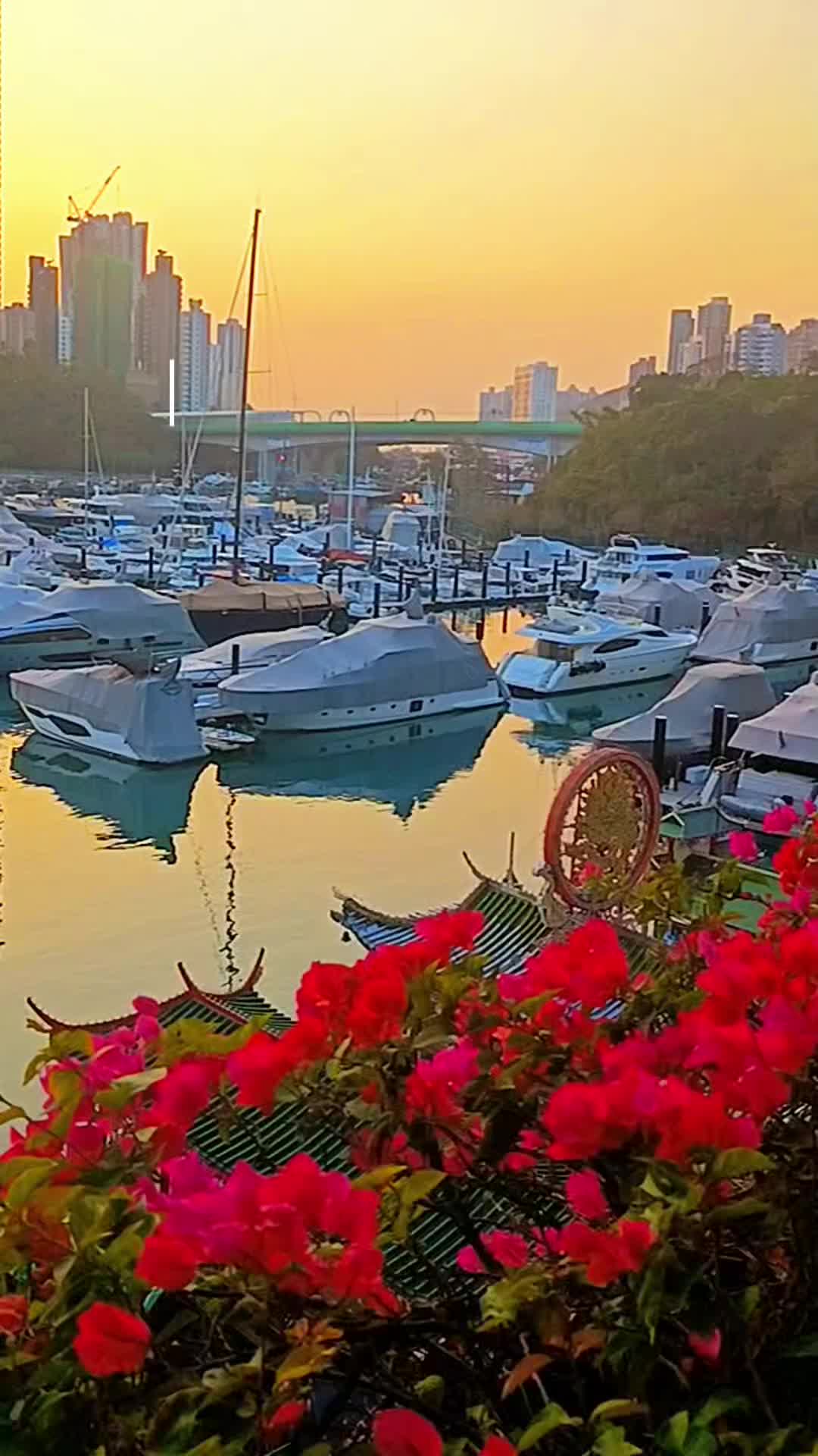 @I'm sam🤞🇲🇴🇭🇰🤞
