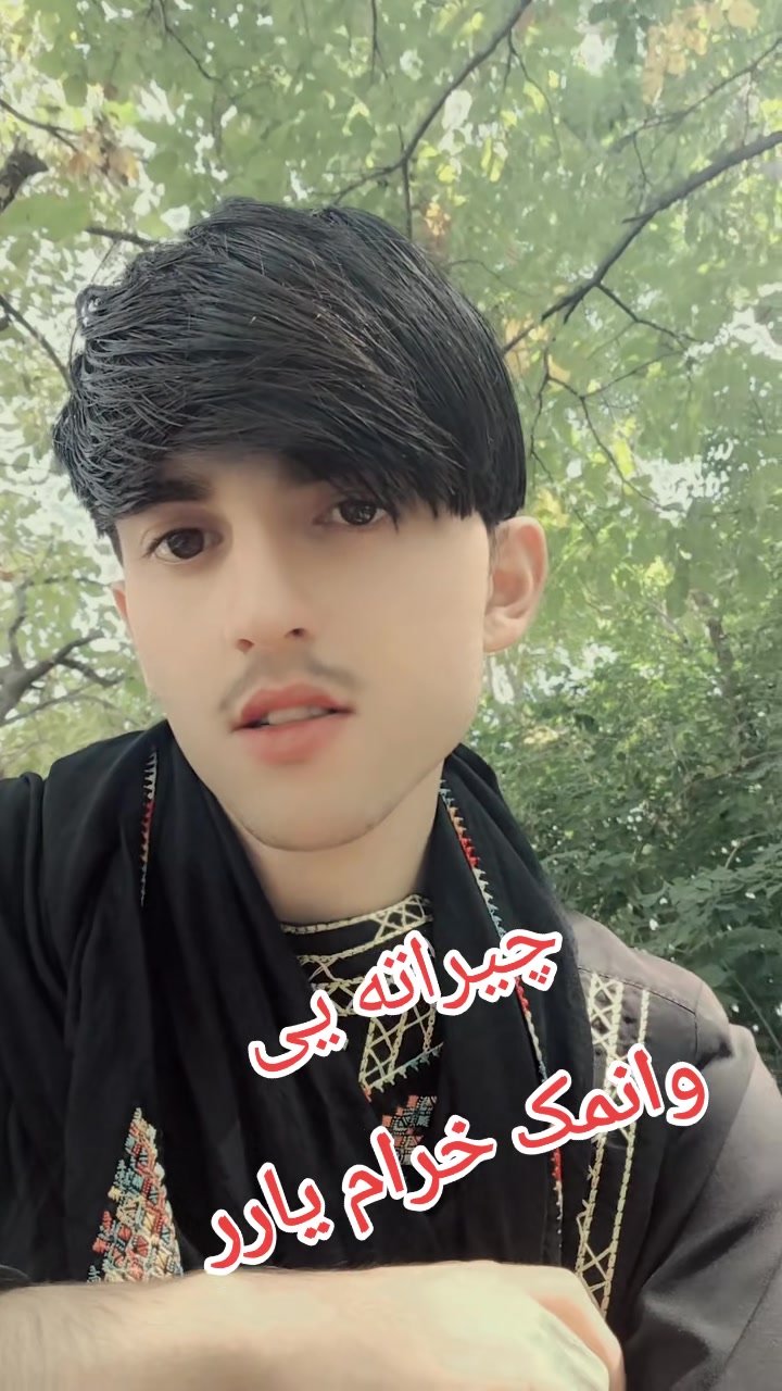 @Arman Phasha