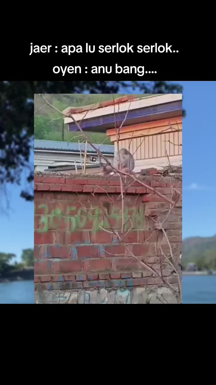 @Kiki