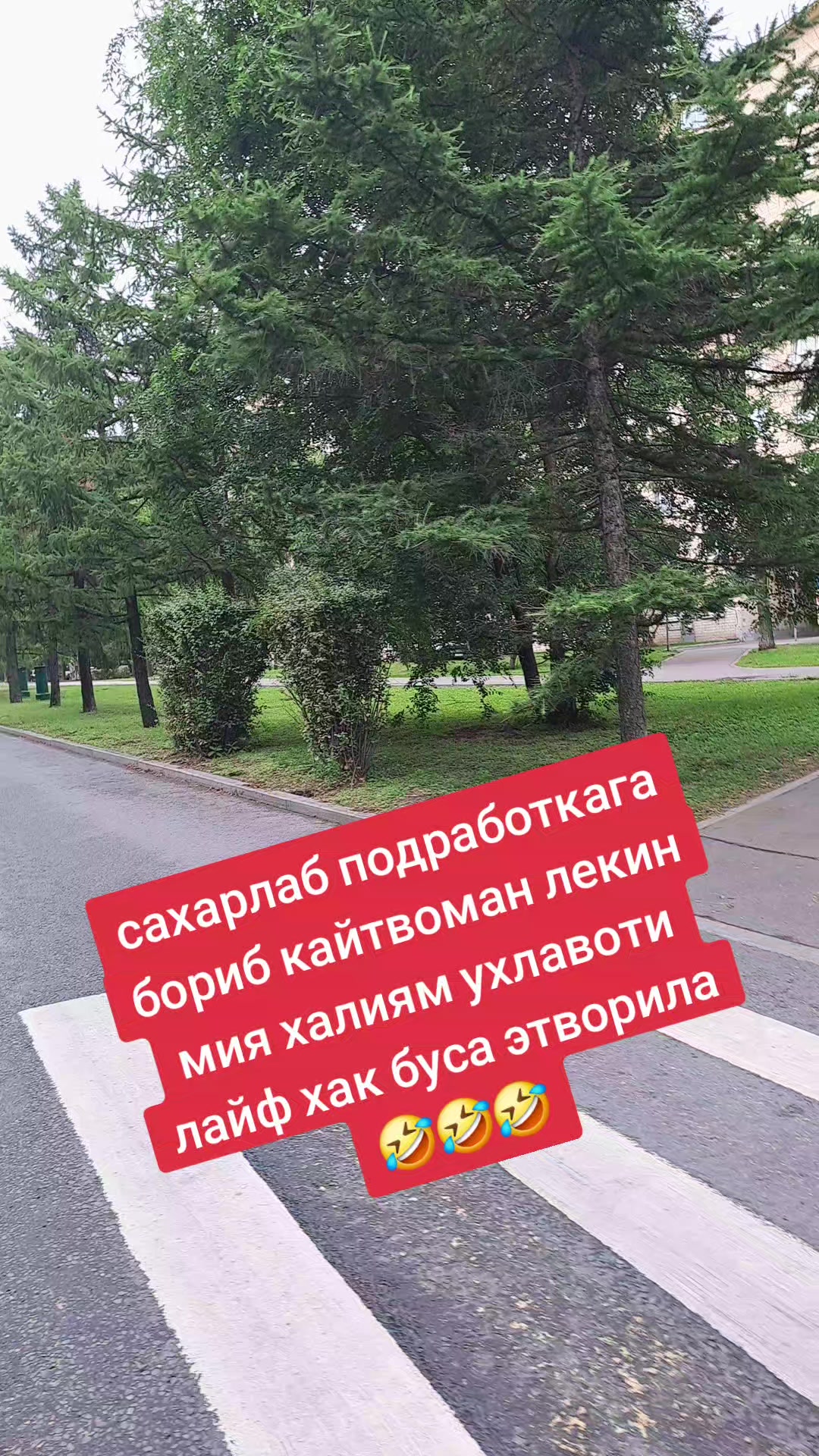 @Yagonam381