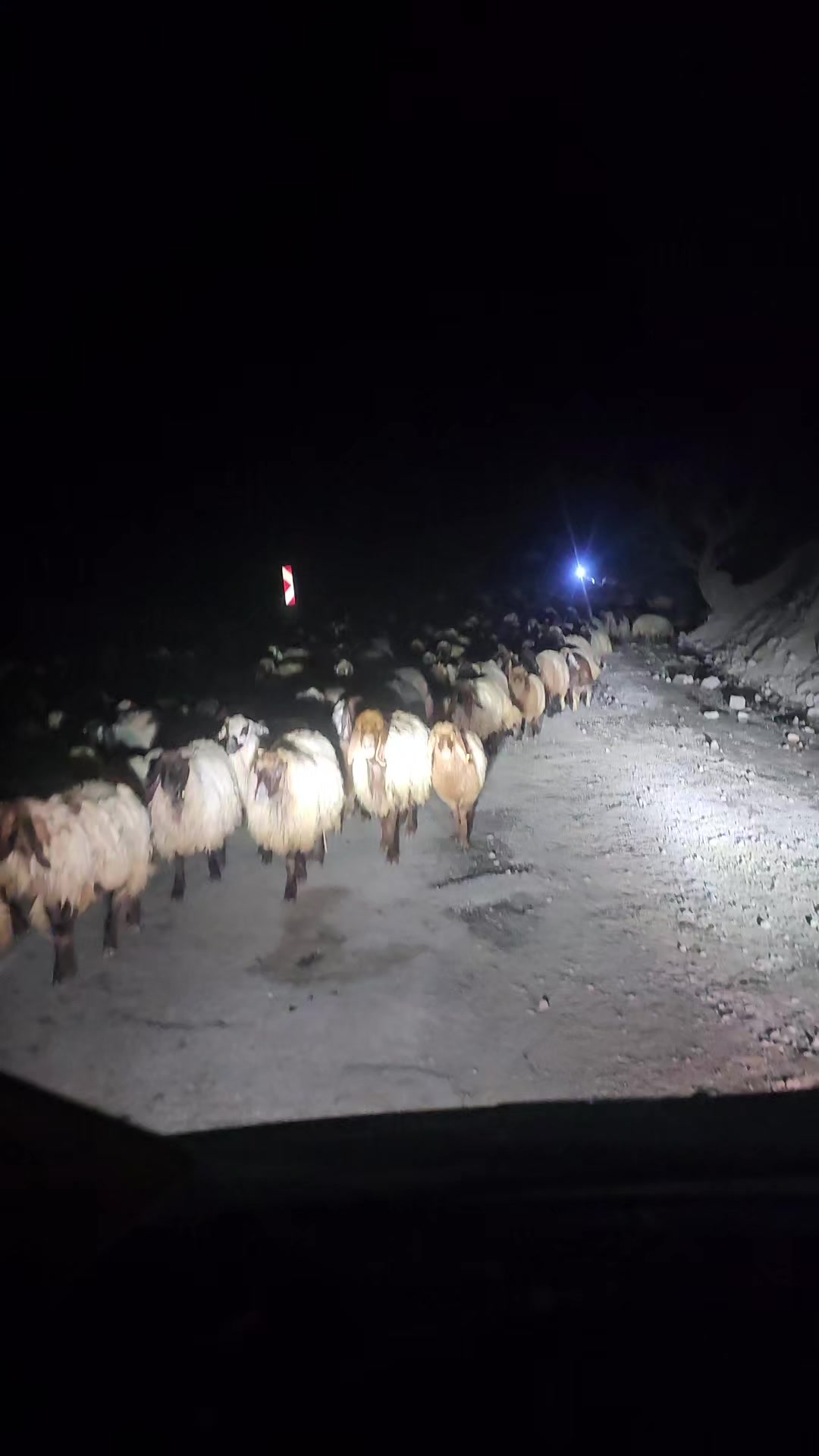 @Şahabettin