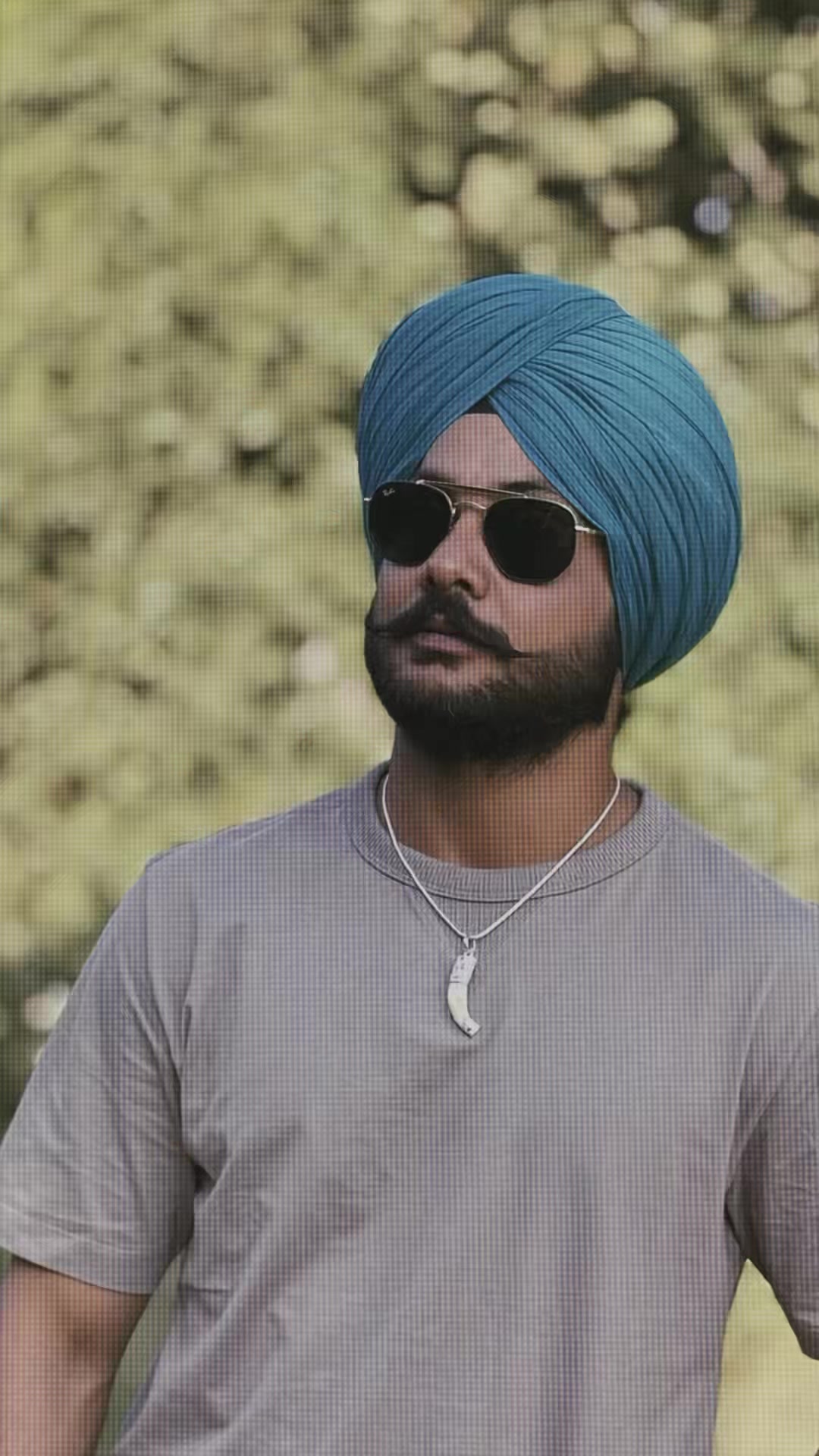 @Ranjit Singh Lally
