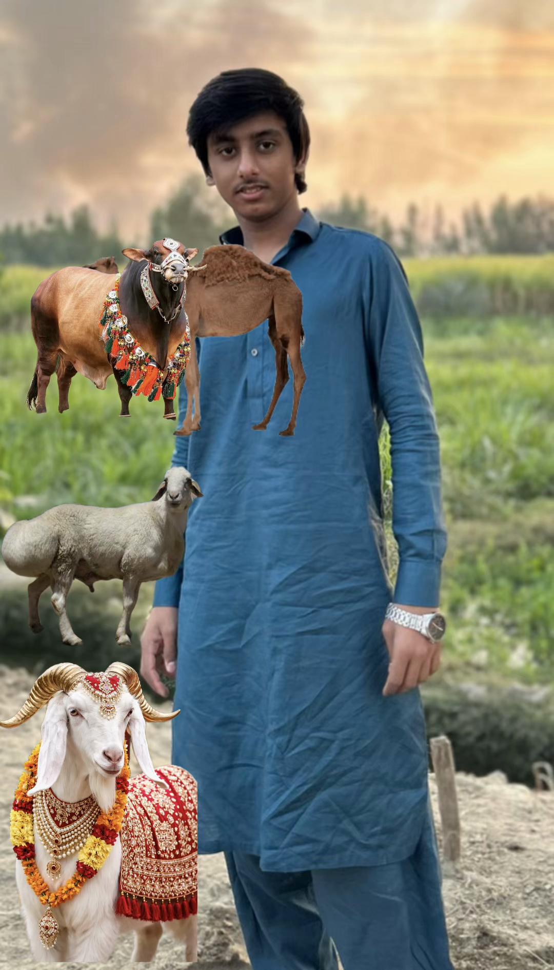 @Rana shayan