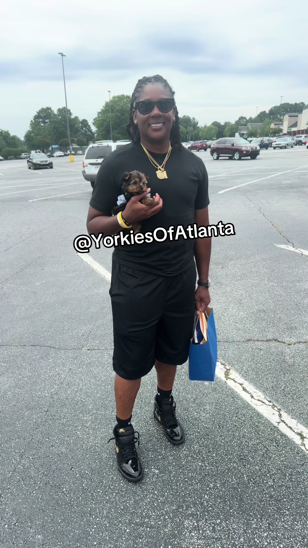 @Yorkies Of Atlanta