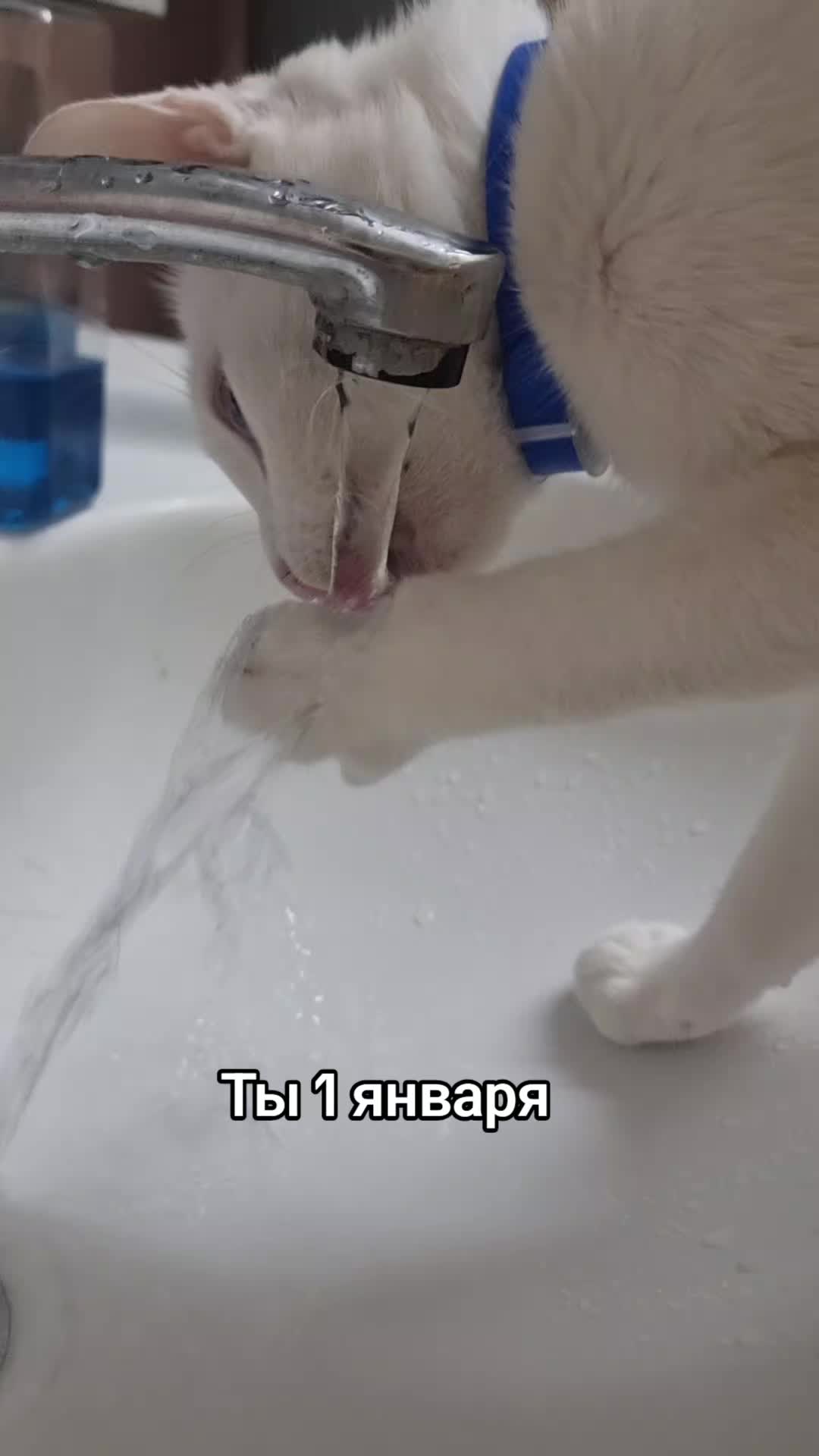 @Tina Tiniko200