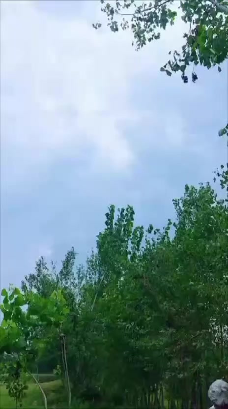 @Asif Khalil