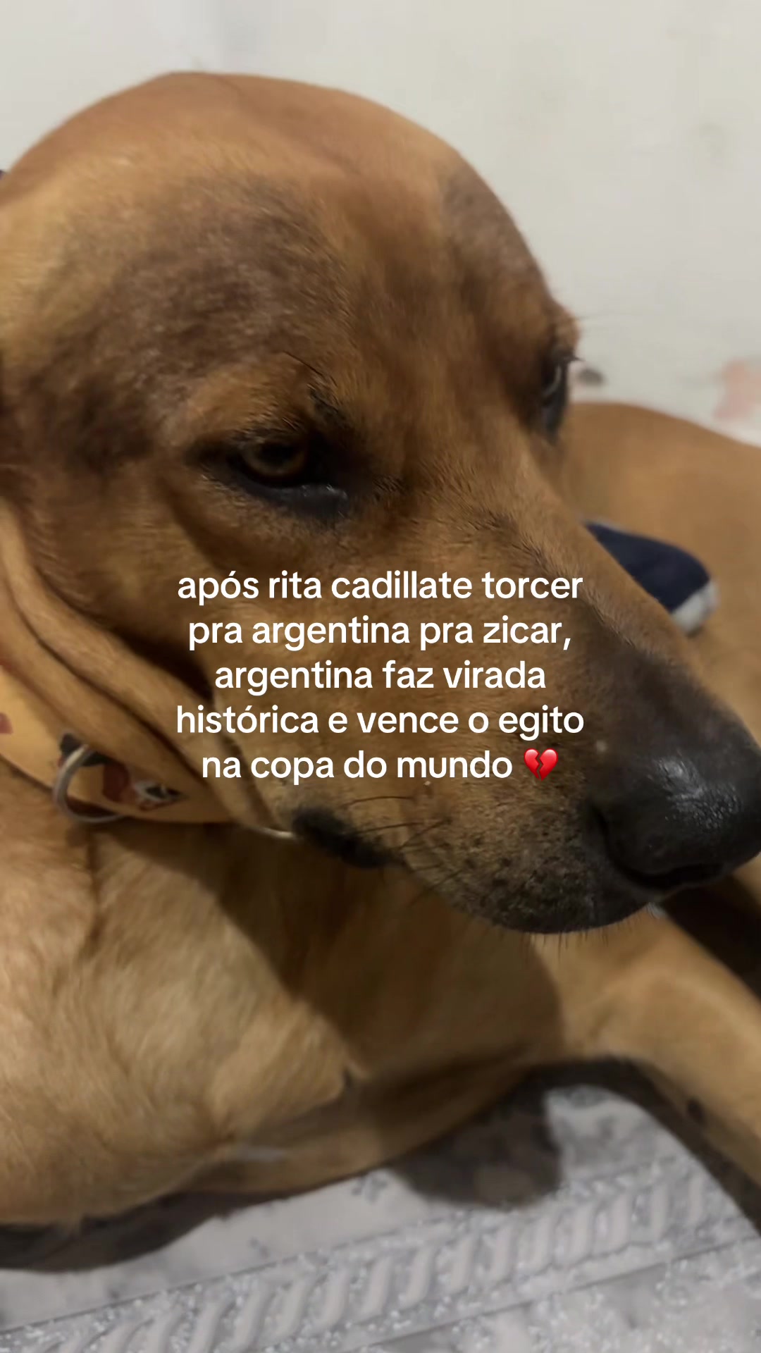 @rita cadillate
