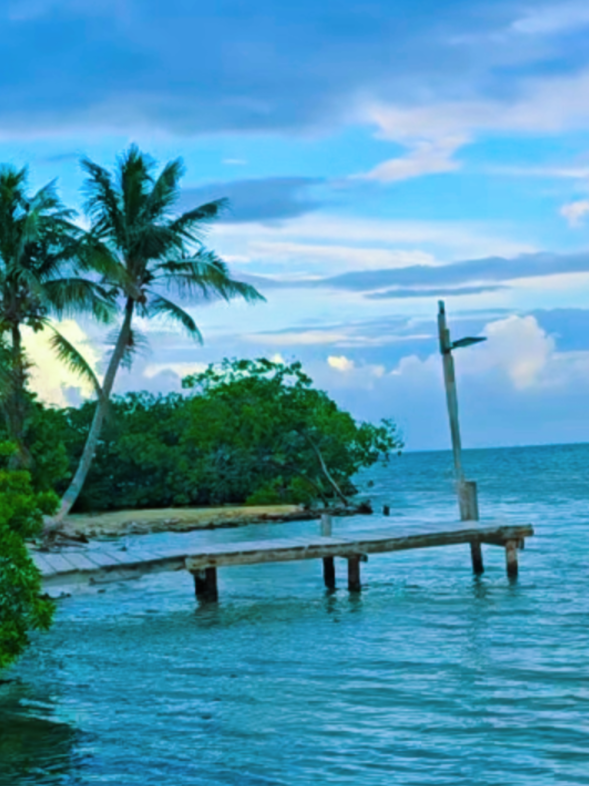 @biggsbelizeharris