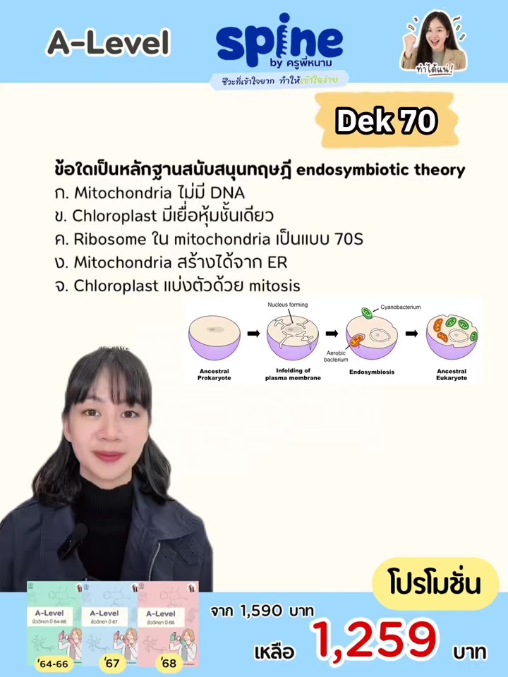 @Biospine by ครูหนาม