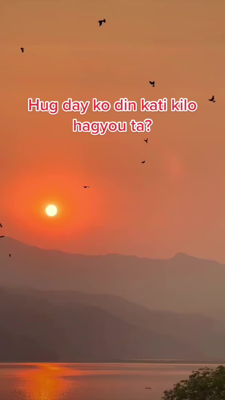 @hallelujah