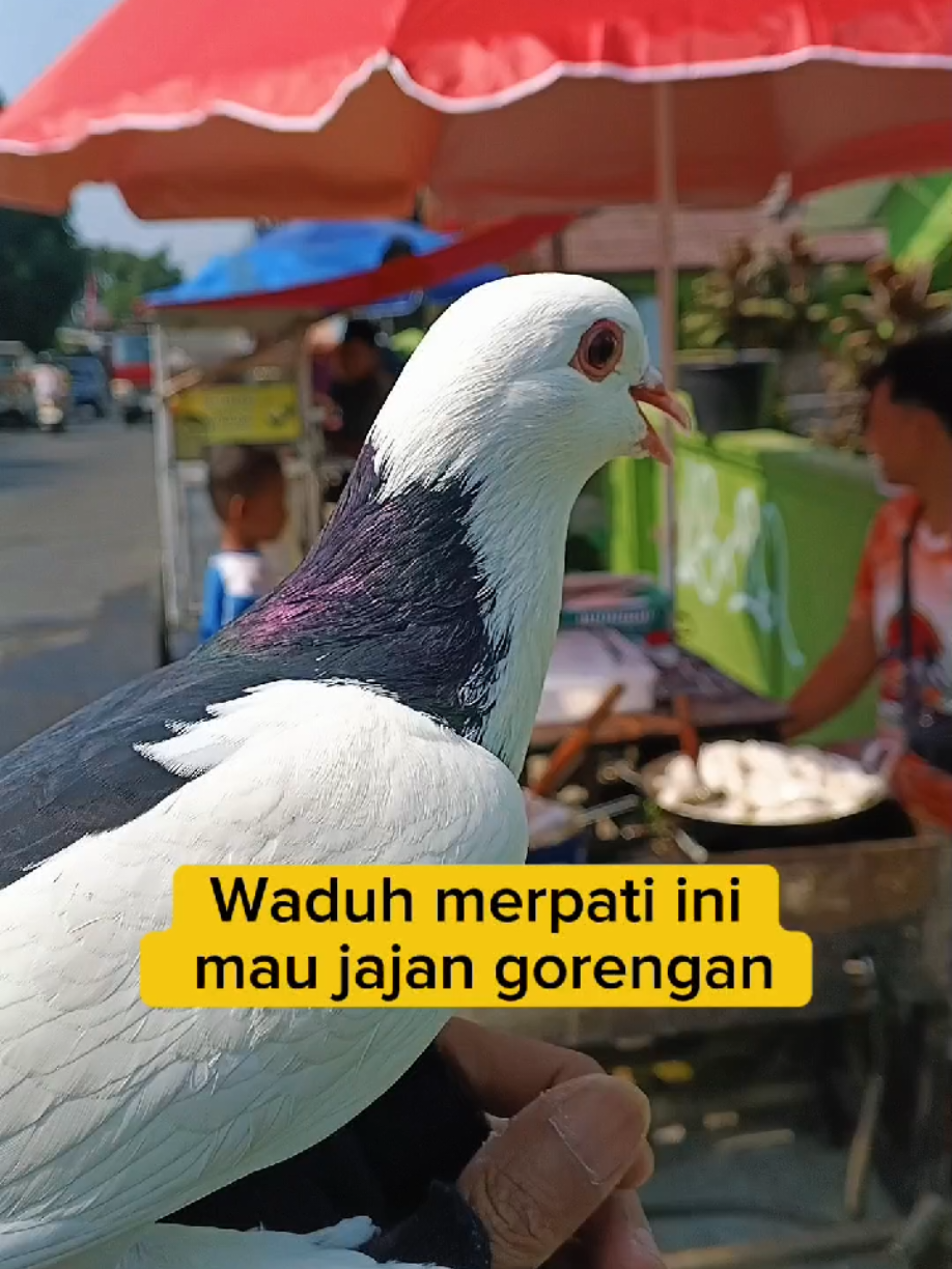 @BANG LEYON