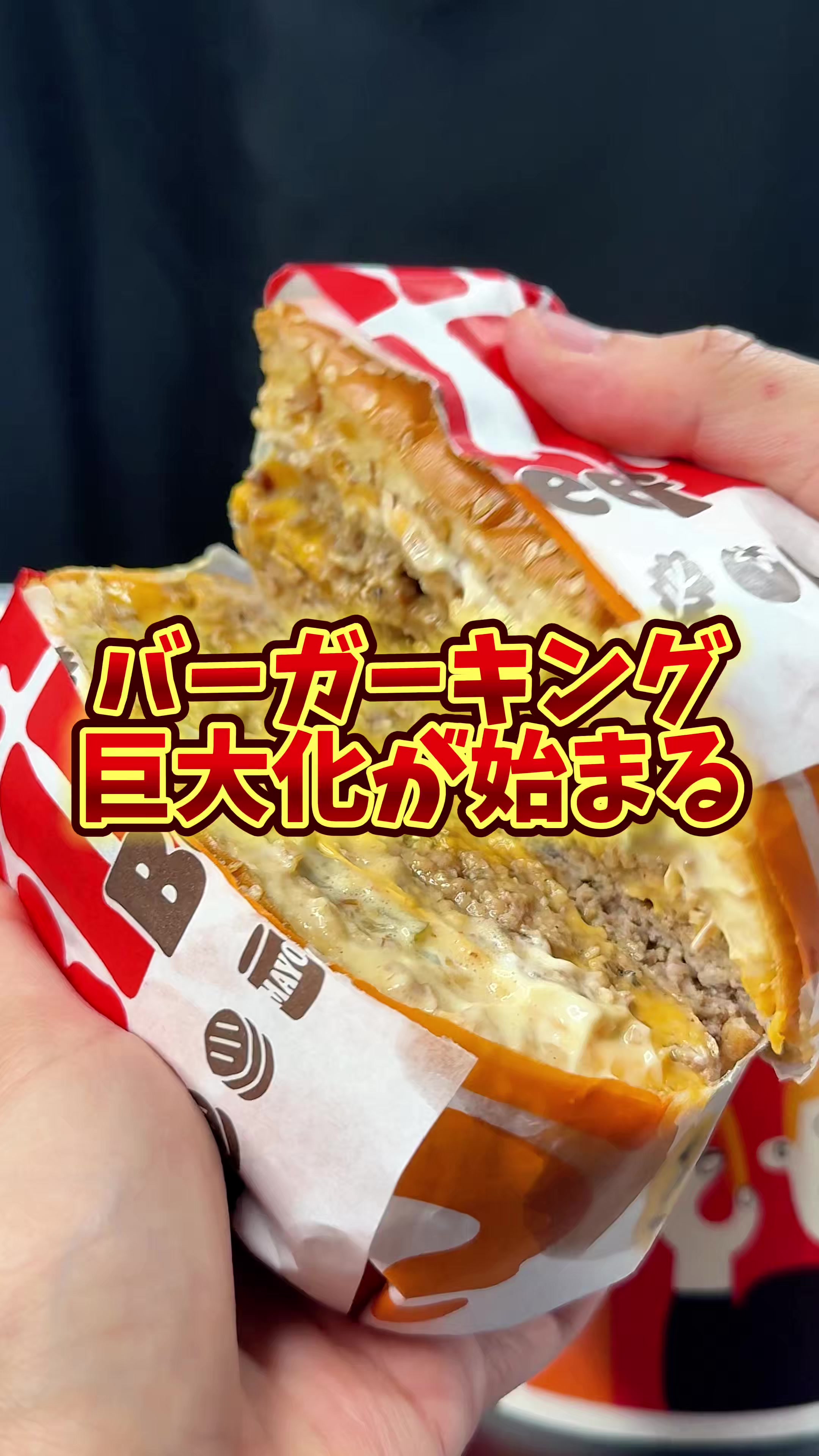 @バーキン君【大阪グルメ】