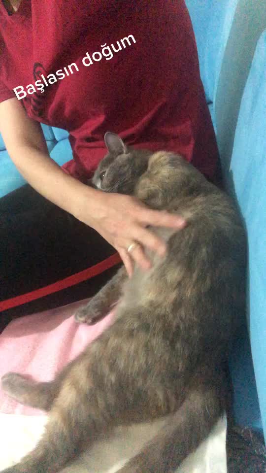 @Boncukun hesabı