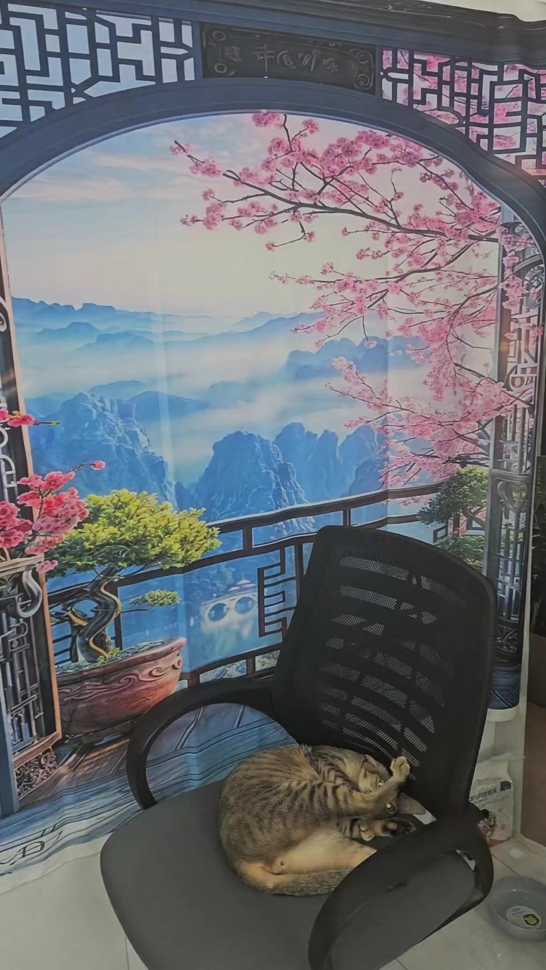 @Khế thúi