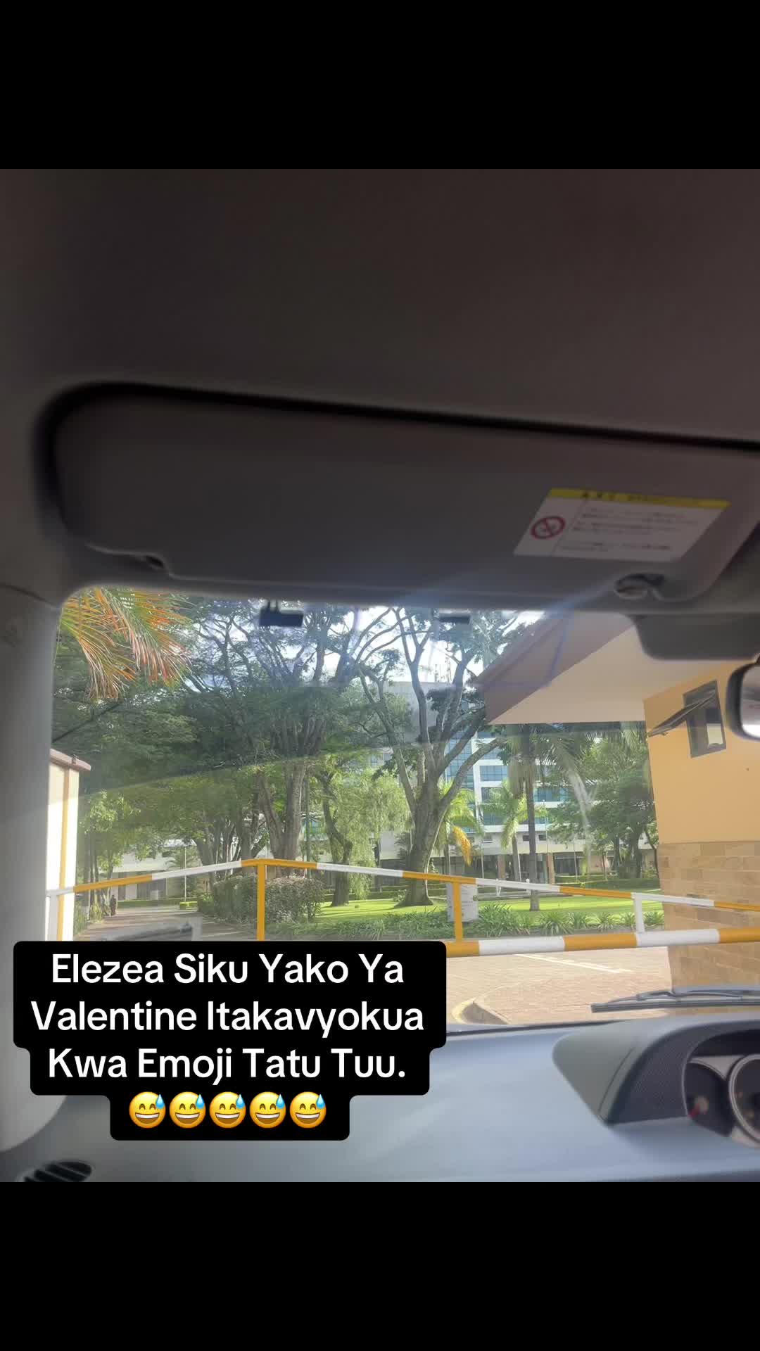 @🦒
