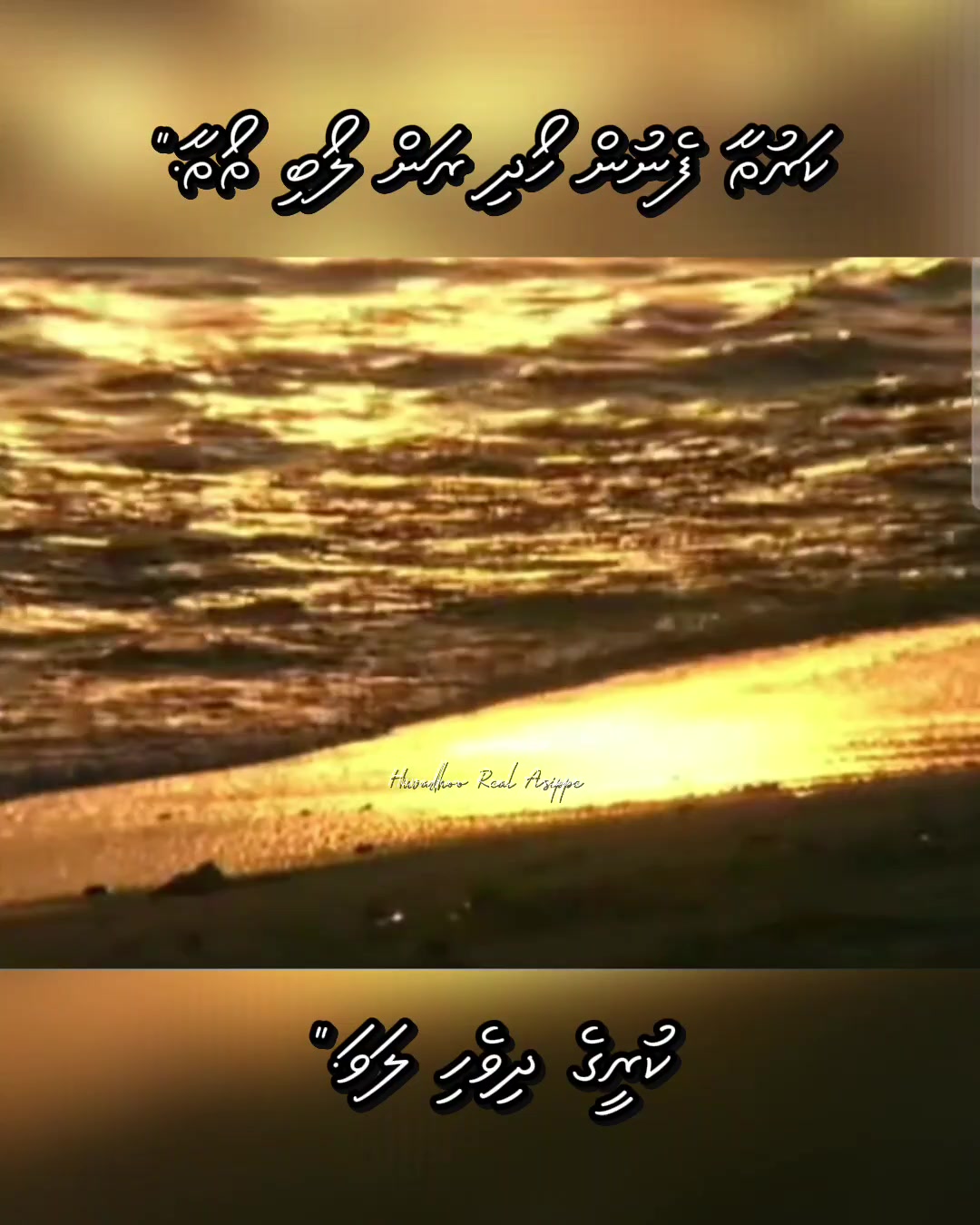 @Huvadhoo Real Asippe 🇲🇻🇵🇸